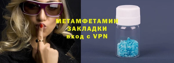 прущие грибы Богородск