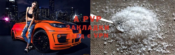 прущие грибы Богородск