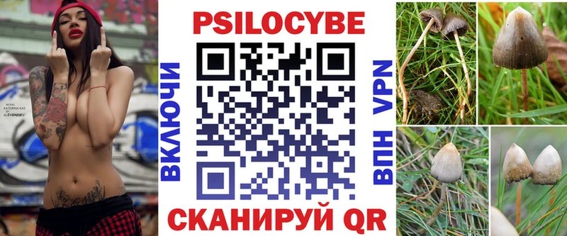omg   Боровск  площадка официальный сайт  Псилоцибиновые грибы Cubensis 